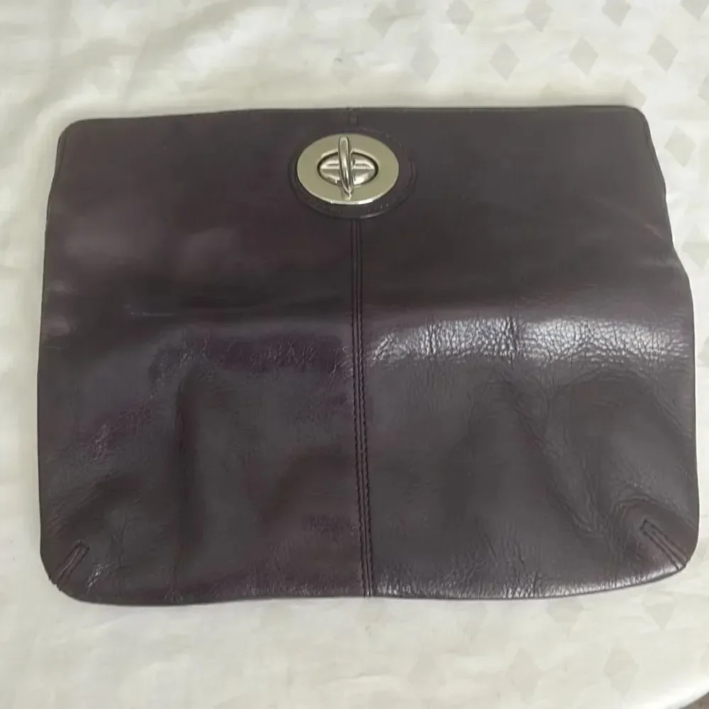 Danier Leather Plum  Clutch